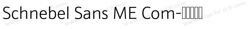 Schnebel Sans ME Com字体转换